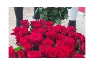 فروش عمده گل رز هلندی گل رز هلندی یکی از گل های پرطرف دار گلخانه ای می