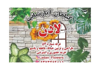 گیاهان آپارتمانی گیاهان آپارتمانی