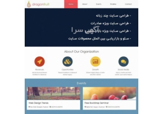 طراحی سایت ویژه صادرات محصولات ایرانی ⚜️طراحی سایت چند زبانه ویژه