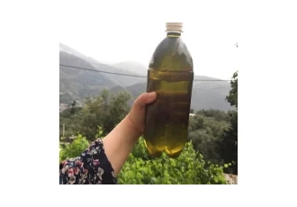 روغن زیتون بکر رودبار در تهران روغن زیتون بکر رودبار تهیه شده از باغات