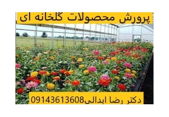 آموزش کشت خاکی و بدون خاک گلخانه ای در مقیاس خانگی و صنعتی