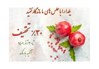 عکاسی شب یلدا با ۳۰% تخفیف در تهران عکس و فیلم بارناک آتلیه کودک