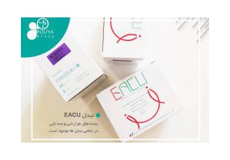 نیدل یا سوزن خشک