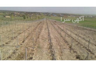 پایه بتنی