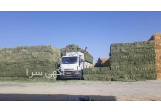 فروش یونجه مرغوب و جو