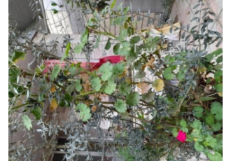 فروش خانه و زمین