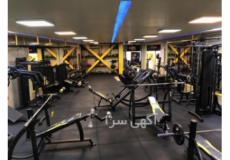 باشگاه بدنسازی و کراسفیت نوین تن