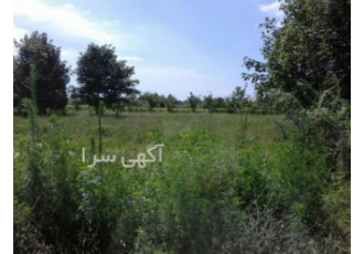 فروش زمین در اسالم گیلان چند قطعه زمین در متراژهای 850 تا 1000 متر
