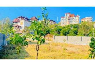 زمین سوادکوه،شیرگاه