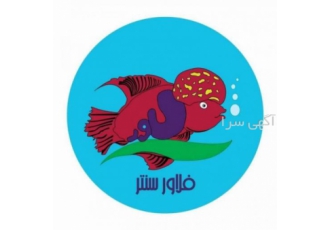 فروشگاه اینترنتی ماهی فلاور سنتر