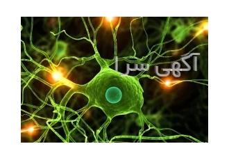 تدریس خصوصی و گروهی تدریس خصوصی و گروهی زیست شناسی از پایه ی دهم تا