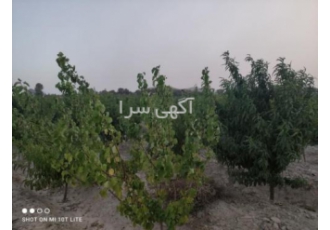 فروش باغ در ملارد ۲۸۰۰ متری خوش قواره فروش باغ در ملارد جهت کسب اطلاعات