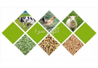 فروش ذرت برزیل ، کنجاله سویا ،جو روس ،فروش کاه ویونجه