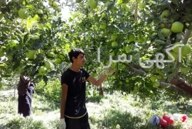 آگهی های فروش املاک اداری و تجاری - دماوند