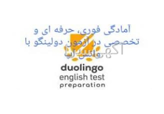 تدریس خصوصی فوری و حرفه ای دولینگو Duolingo در ۱۵ جلسه