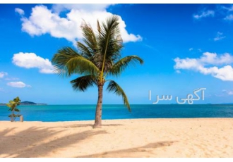 تور هوایی کیش