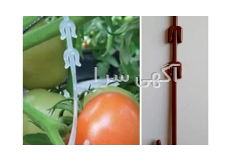 فروش قلاب عصایی خوشه