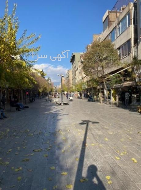 باغ سپهسالار کفش زنانه