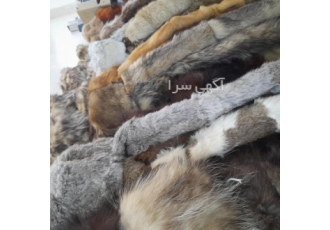کلاه روسی اصلی کلاه روسی اصلی طبیعی دم دار شروع قیمت از 298 000 الی 398