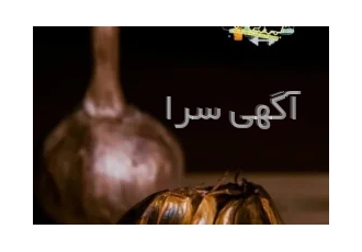 فروش سیر سیاه عمده و جزئی در تهران اولین و بزرگترین تولیدکننده سیر سیاه