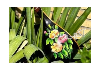 فروش سه تار