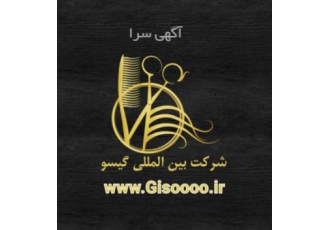 شرکت بین المللی گیسو با 10سال سابقه برگزارکننده ی ایونت ها و همایش ها