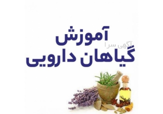 دوره آموزشی ویژه شناخت و تجویز گیاهان دارویی دوره آموزشی ویژه شناخت