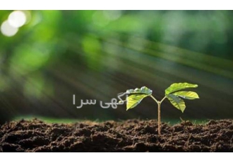 آموزشگاه کشاورزی