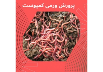 دوره آموزشی پرورش ورمی کمپوست اگر به دنبال کسب و کار پر سوددر عین حال