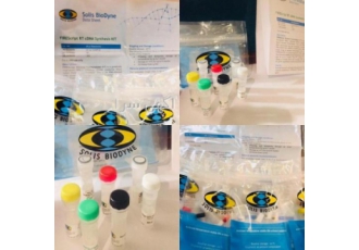 کیت سنتز cdna 100 t کیت سنتز cdna 100 t