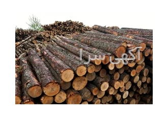 خرید و فروش چوب