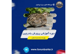 دوره آموزشی پرورش کبک و بلدرچین پرورش کبک و بلدرچین دارای سوددهی بسیار