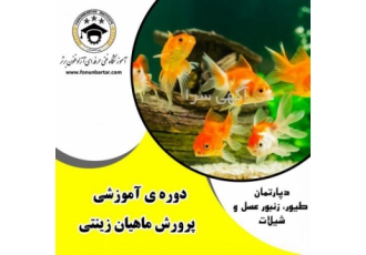 دوره آموزشی پرورش ماهیان زینتی پرورش ماهیان زینتی مشاغل خانگی اگر