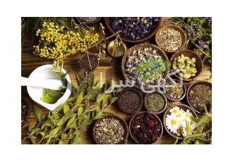 آموزشی روش های تکثیر گیاهان دارویی