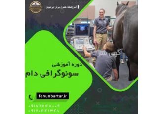 دوره اموزشی سونوگرافی دام