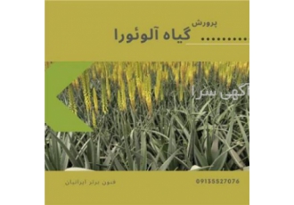 دوره آموزشی آلوئه ورا آلوئه ورا امروزه یکی از گیاهان مفید و پرکاربرد