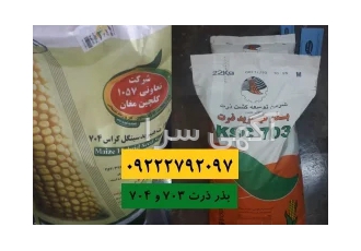 فروش بذر 703 و 704