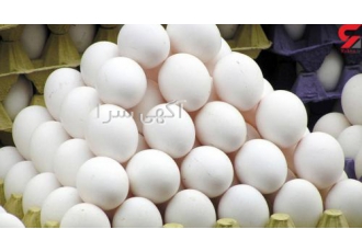 تخم مرغ صادراتی ویژه سفارش تخم مرغ صادراتی و با کیفیت به عمان حجم