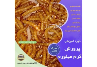دوره آموزشی پرورش کرم میل ورم ❇️ اهمیت پرورش میل ورم پرورش کرم