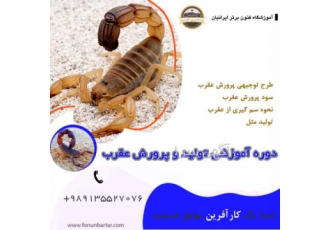 دوره آموزشی پرورش عقرب گرانبهاترین مایع در جهان سم عقرب است که دارای