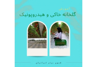 دوره اموزشی گلخانه خاکی و هیدروپونیک کشت هیدروپونیک به پرورش گیاهان