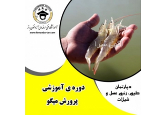 دوره آموزشی پرورش میگو دوره آموزشی پرورش میگو میگو از دسته آبزیان