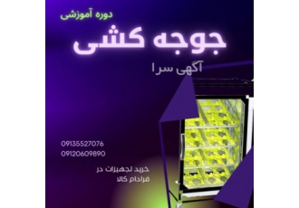 دوره آموزشی جوجه کشی