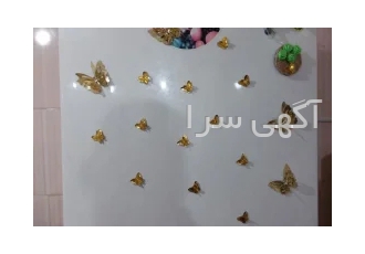 پروانه مگنتی و زیبا