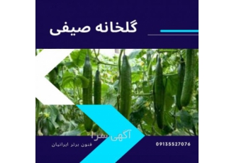 دوره اموزشی گلخانه صیفی کشت صیفی جات بصورت گلخانه ای یکی از را حل