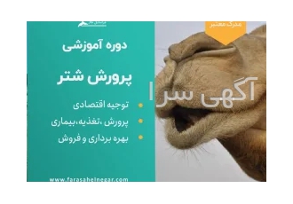 دوره آموزشی پرواربندی شتر با رویکرد اقتصادی در تهران این دوره به مدت 16