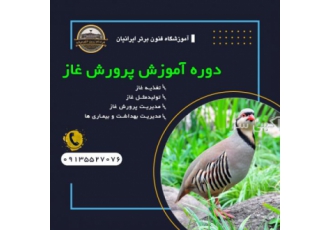 دوره آموزشی پرورش غاز مزایای پرورش غاز سرعت رشد گوشت و پر قابلیت صادرات