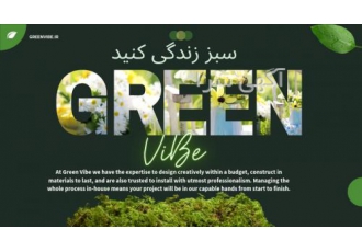 گرین وایب دیوار سبز خزه ای خره تثبیت شده Greenvibe تلاش ما در تیم