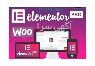مجموعه کتاب و کلیپ آموزشی طراحی سایت با وردپرس (المنتور) در رشت با تهیه