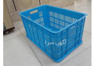 سبد زیتون